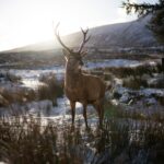 David ford v4EW1NuY0 w unsplash